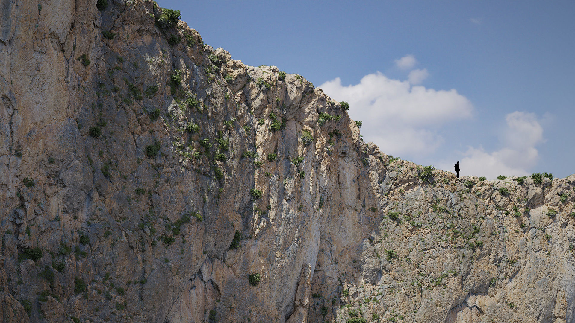 Large Mountain Cliffs PBR Scan Collection _11