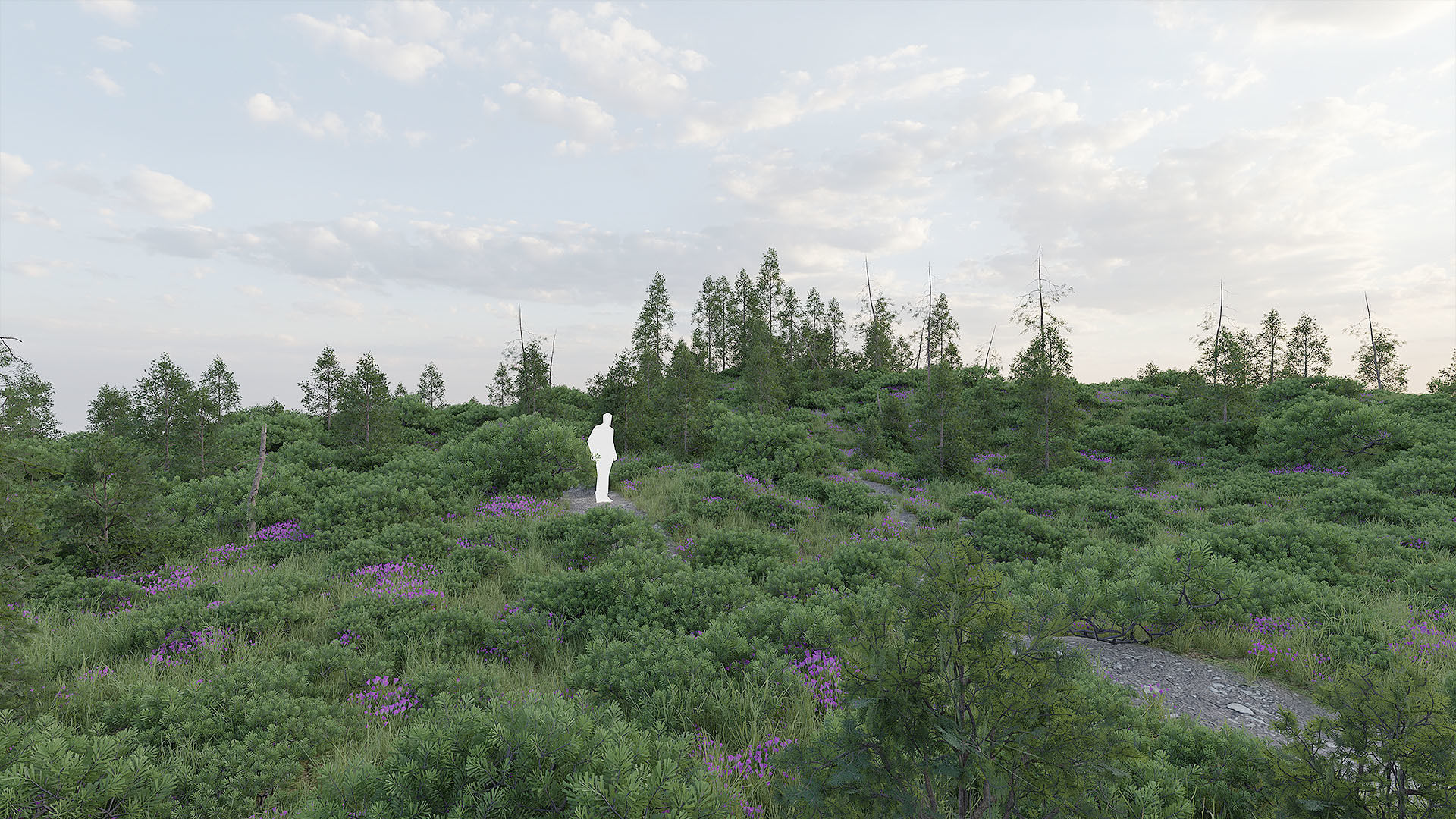 Large Mountain Cliffs PBR Scan Collection _7