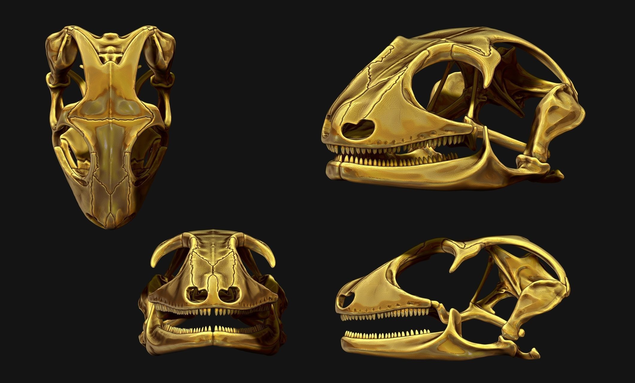 Gecko Skull - CNC and 3D print model_6