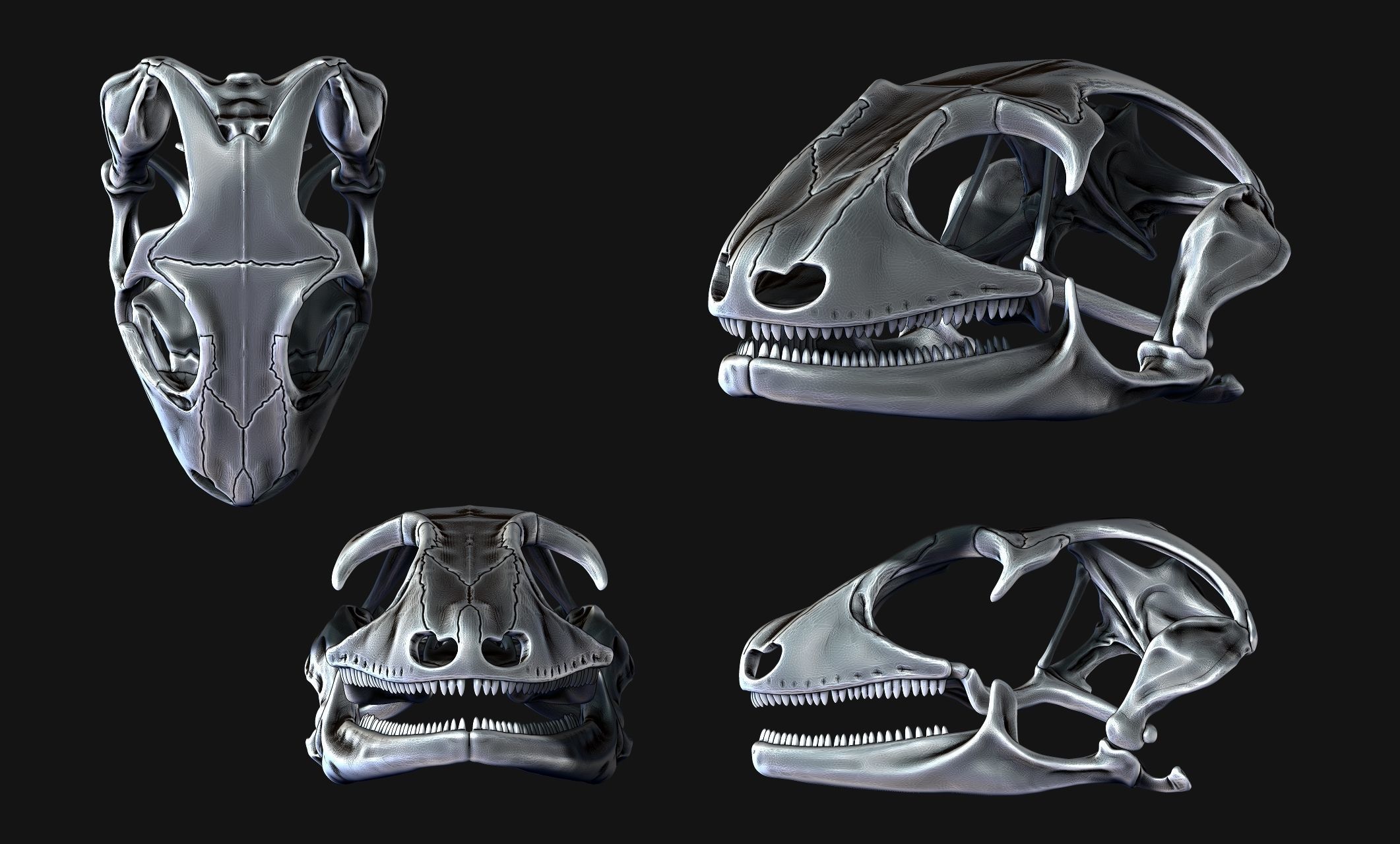 Gecko Skull - CNC and 3D print model_20
