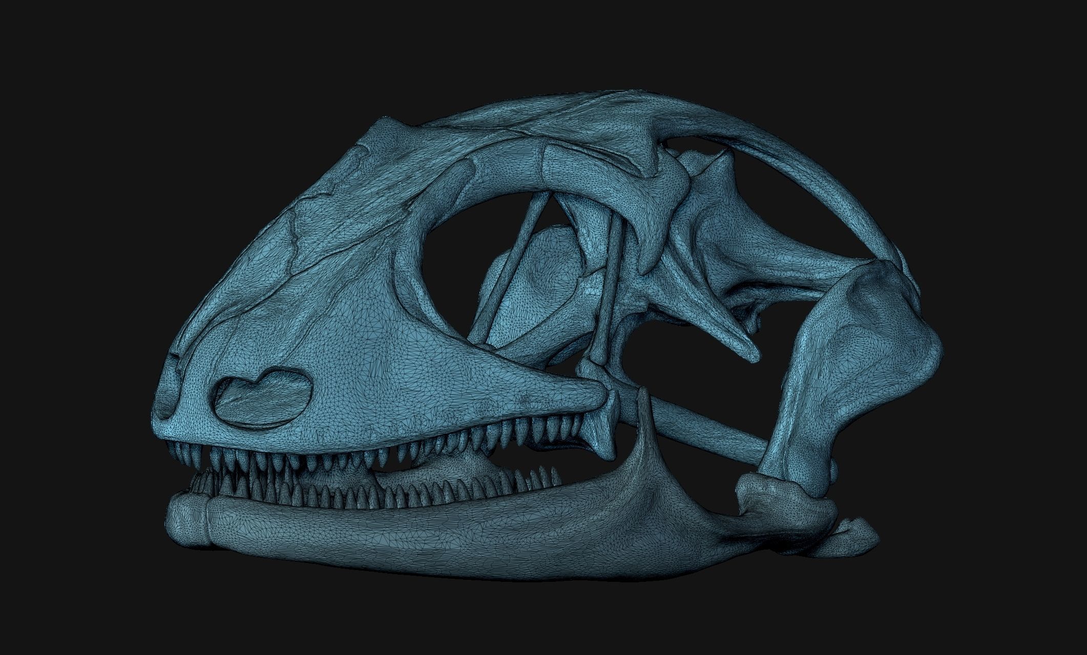 Gecko Skull - CNC and 3D print model_23
