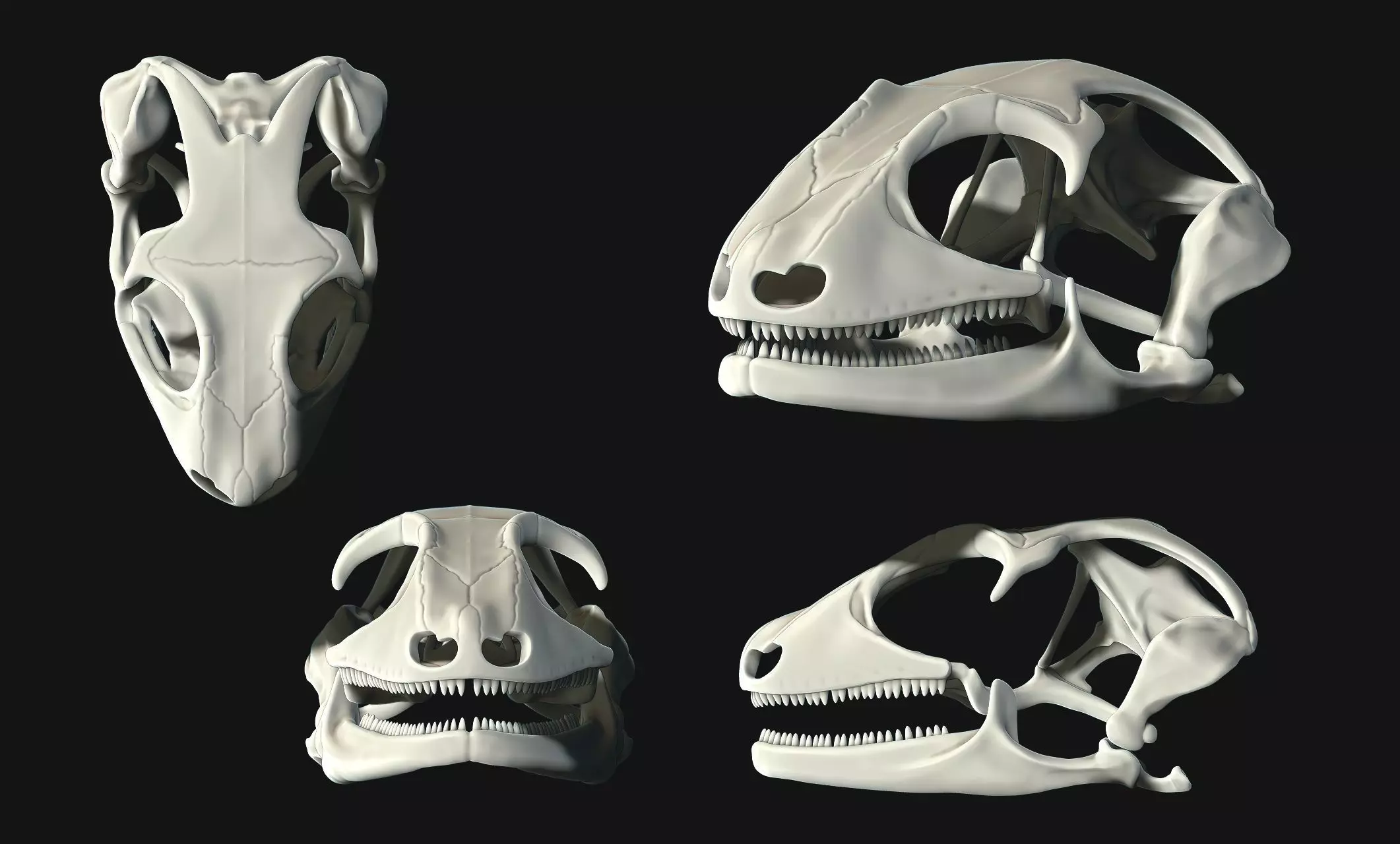 Gecko Skull - CNC and 3D print model_0