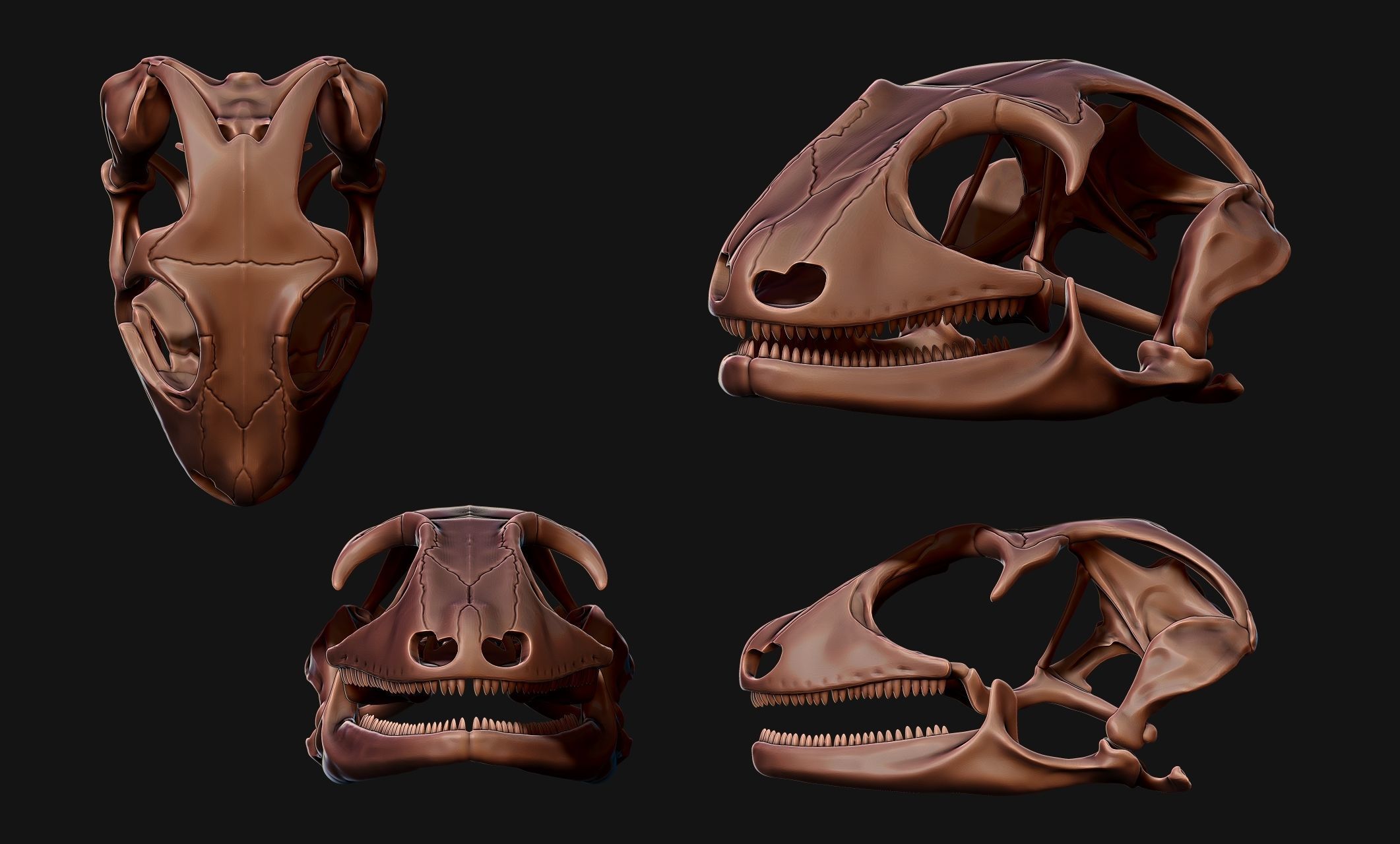 Gecko Skull - CNC and 3D print model_12