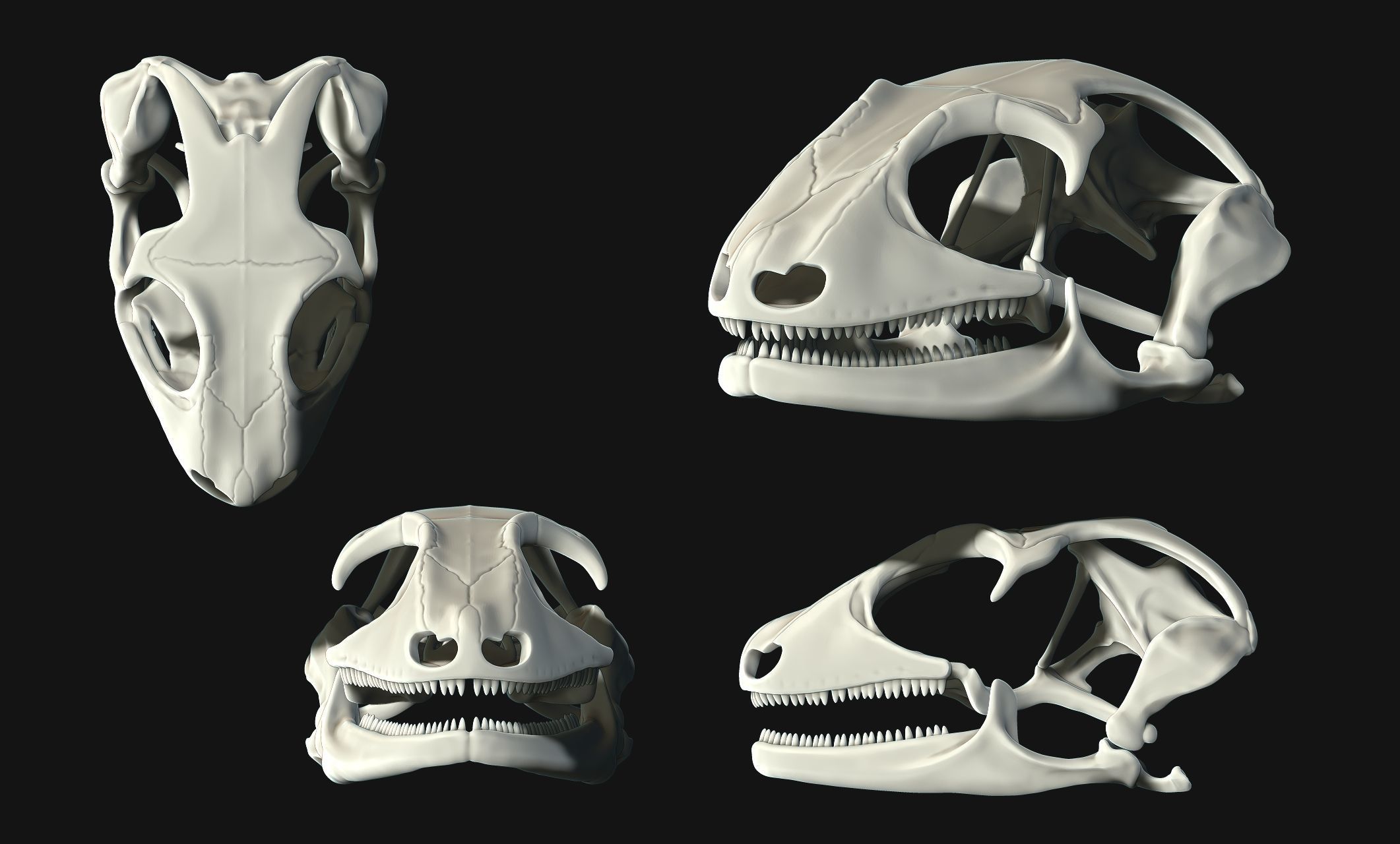 Gecko Skull - CNC and 3D print model_22