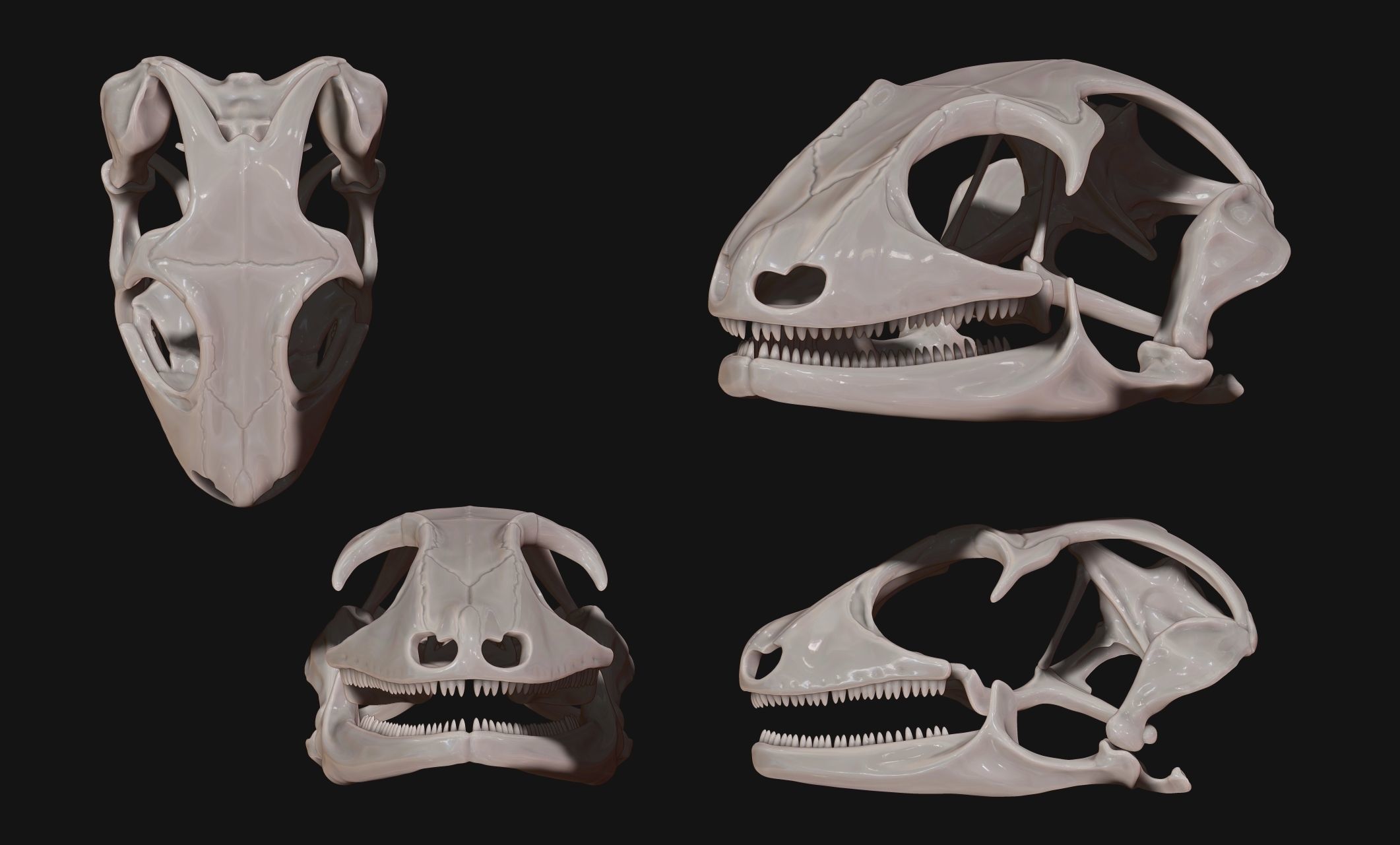 Gecko Skull - CNC and 3D print model_7