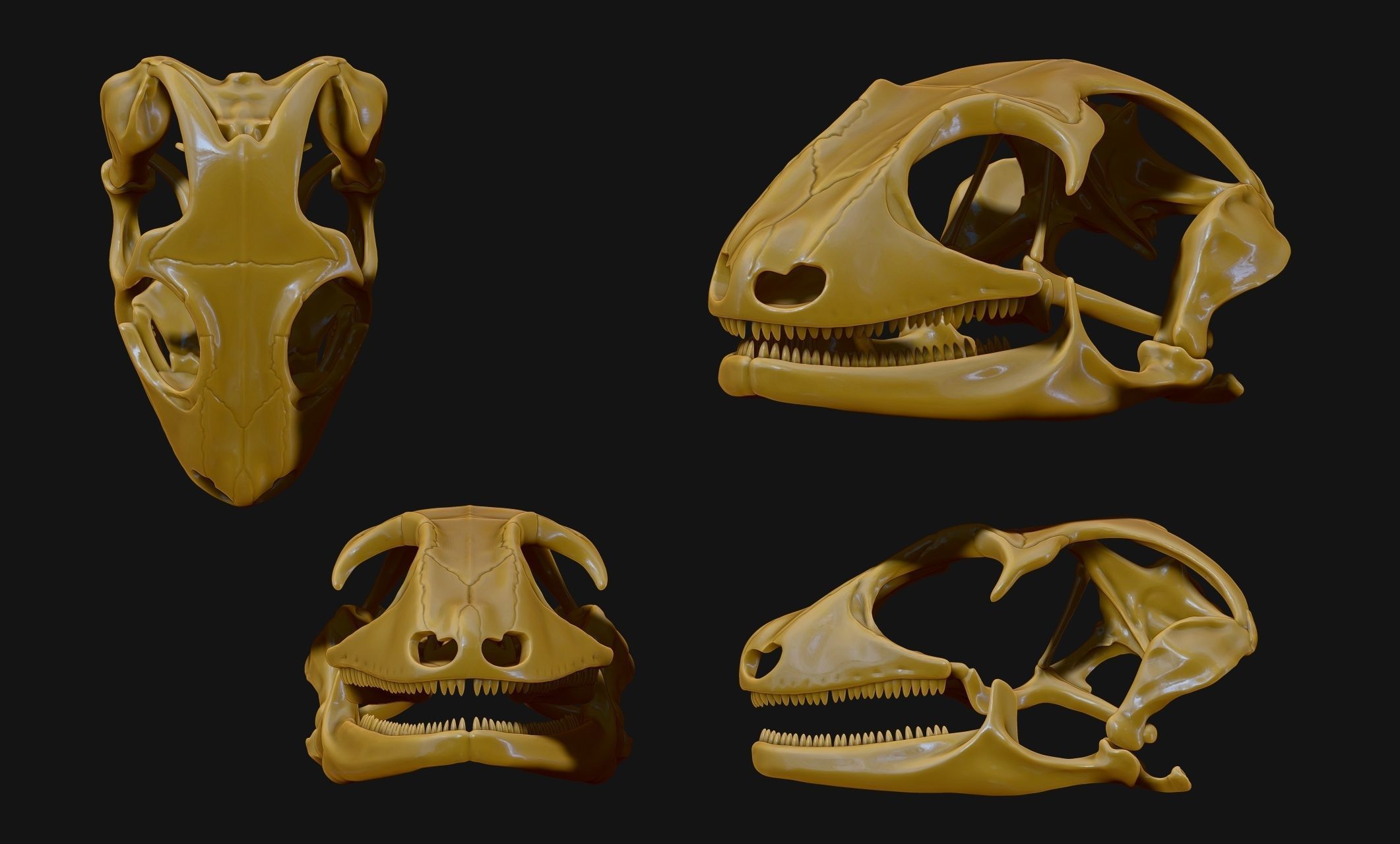 Gecko Skull - CNC and 3D print model_4