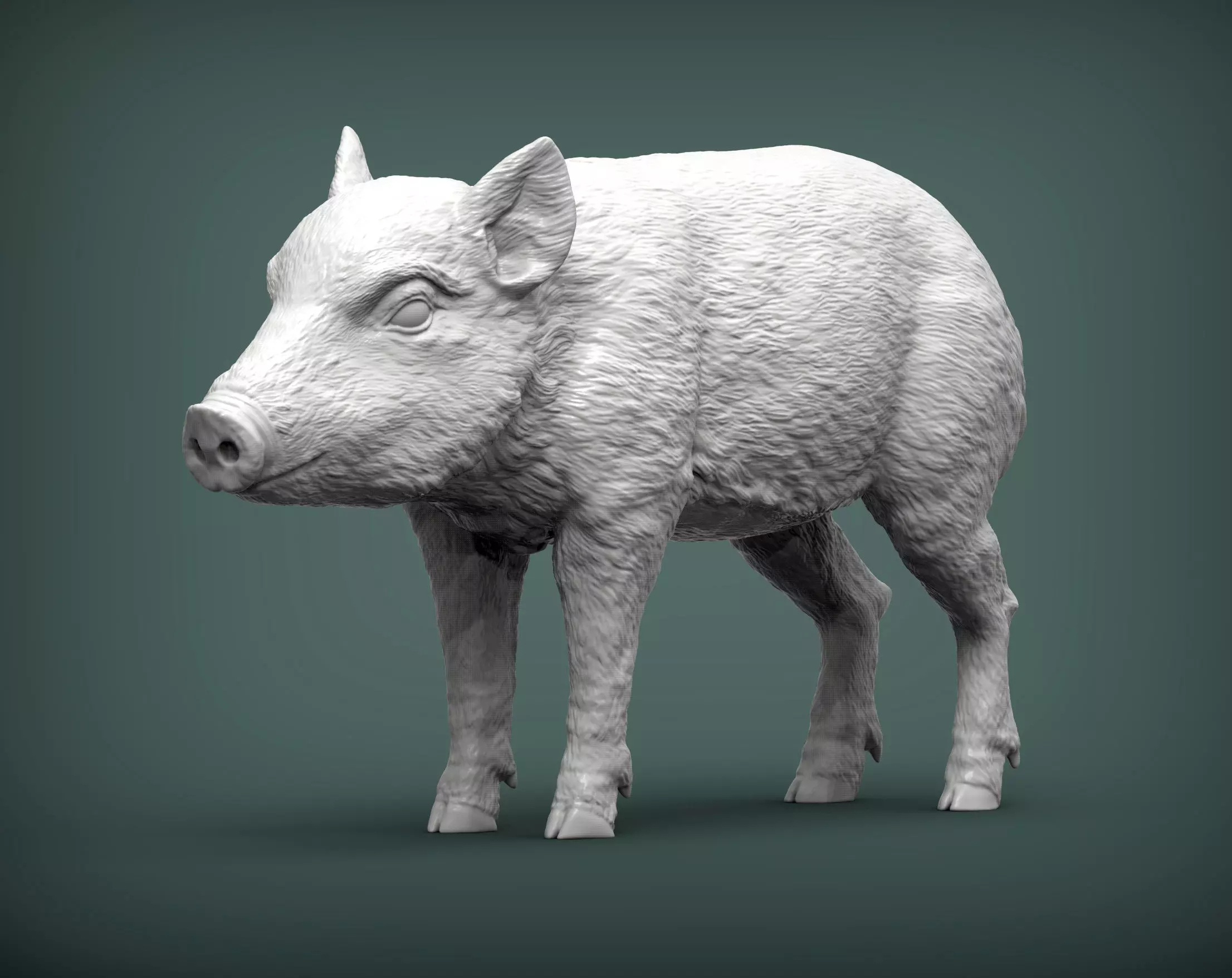 Small boar 3D print model
