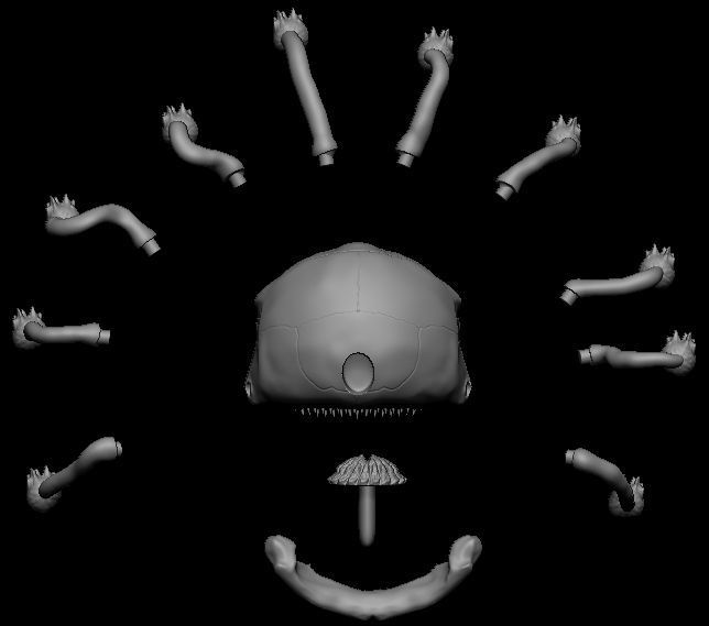 Behouder  and Death Tyrant 3D print model_7