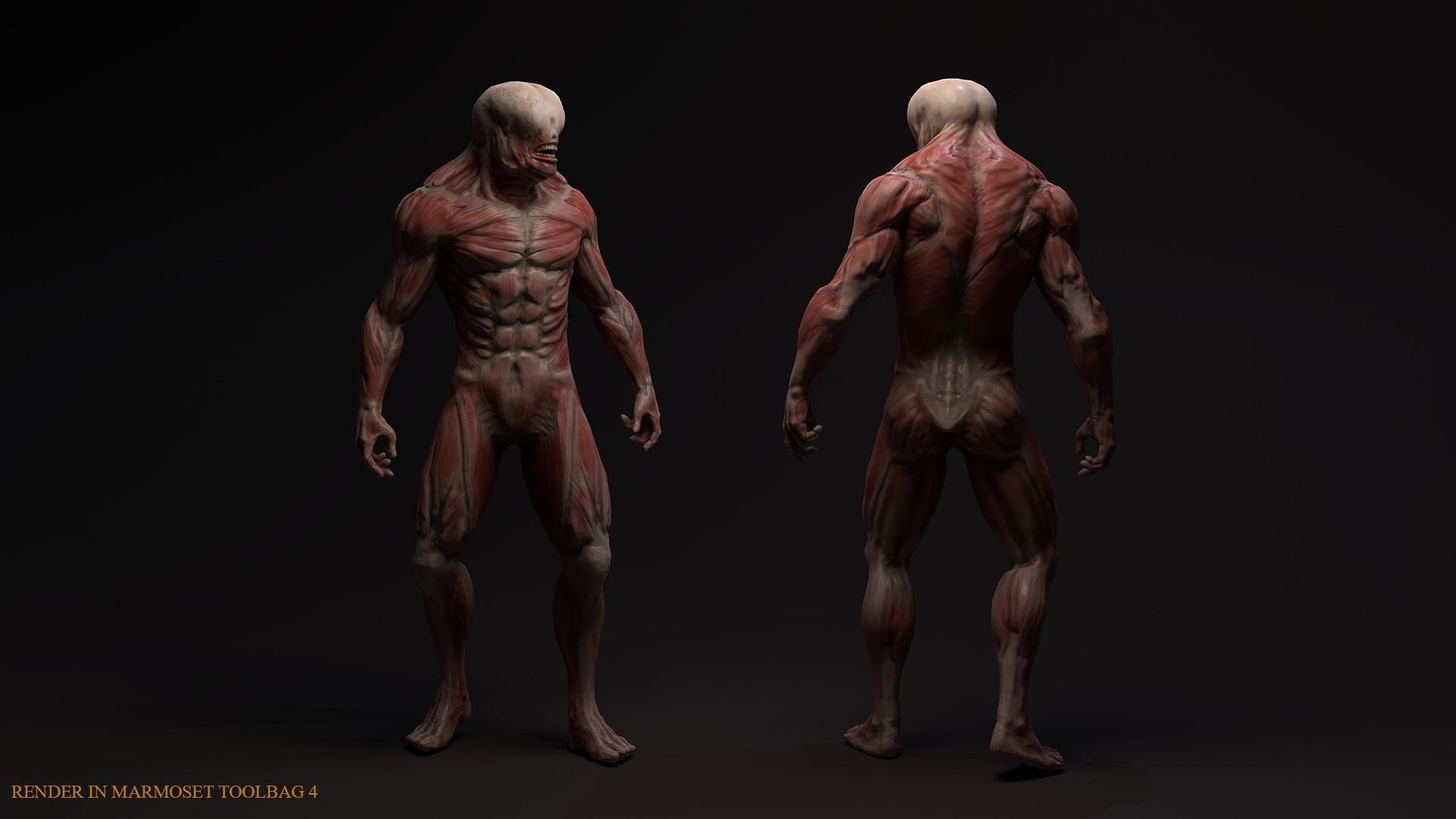 Skinless mutant Low-poly 3D model_3