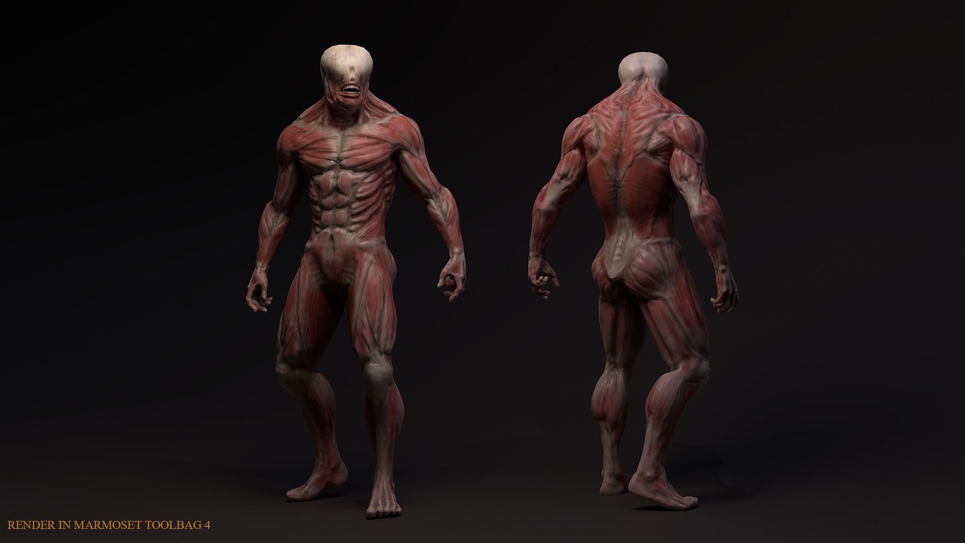 Skinless mutant Low-poly 3D model_2