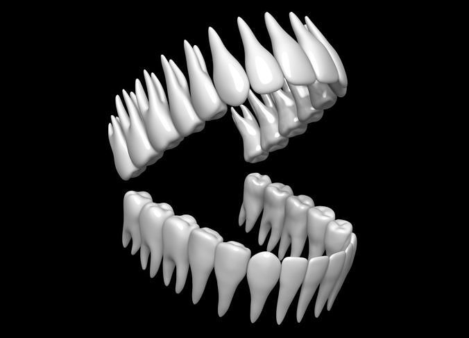 Teeth set of 3D model
