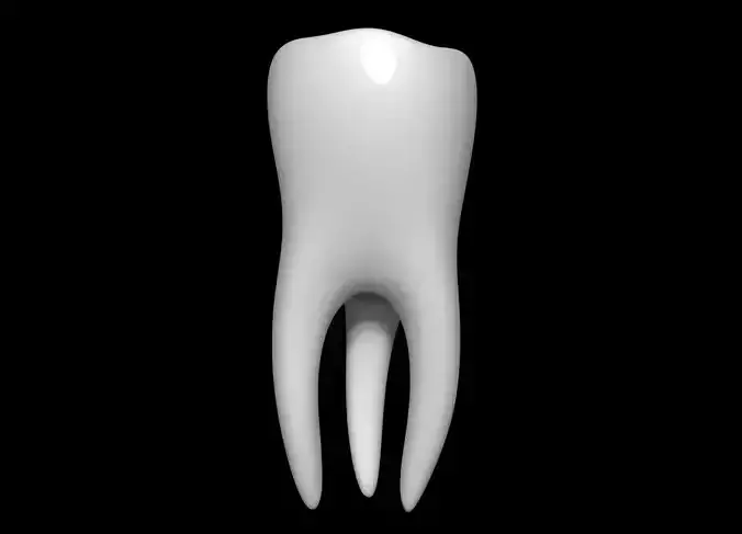 Tooth 3D model