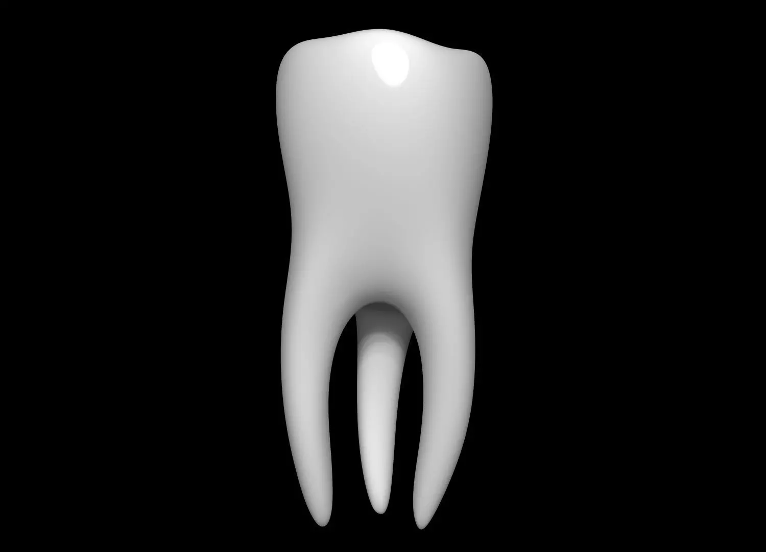 Tooth 3D model