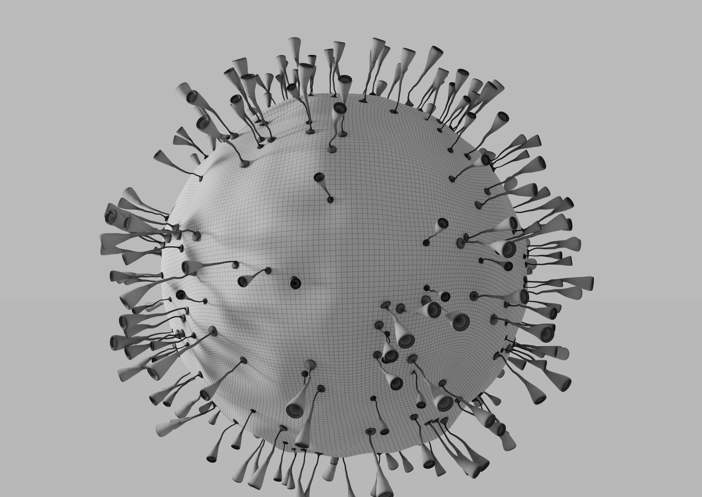 Carona virus 3D model_3