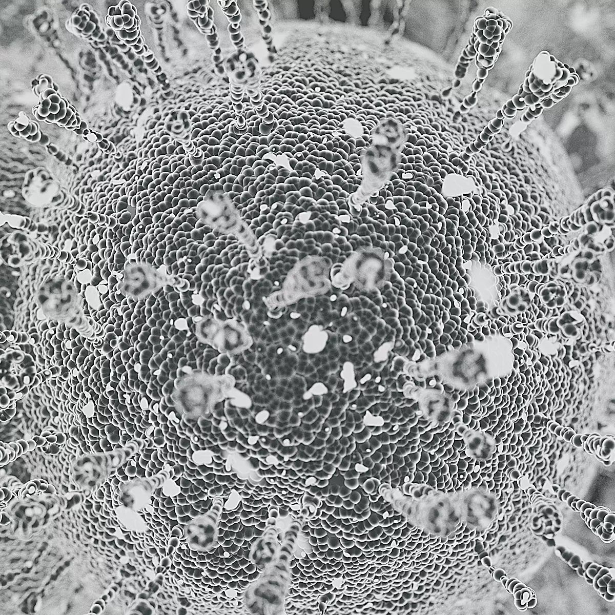 Carona virus 3D model_0