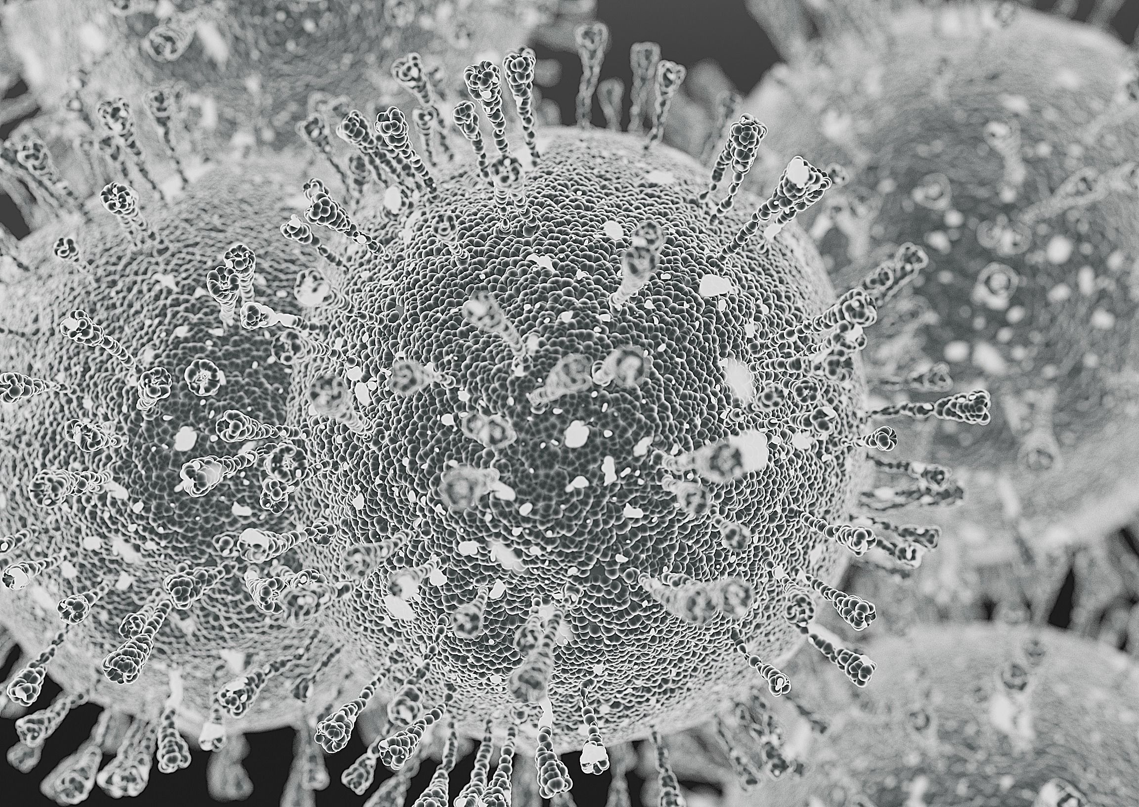 Carona virus 3D model_1