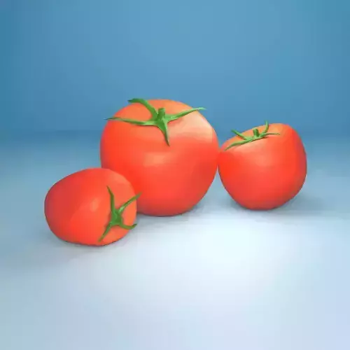 Tomato 3D model three tomatoes