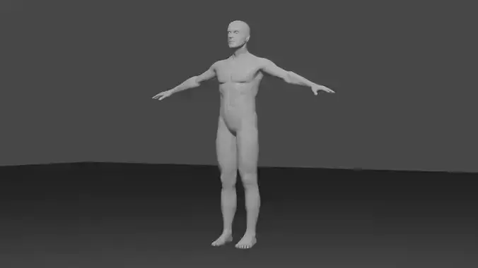 Stylized Human Male Character with Perfect Anatomy 