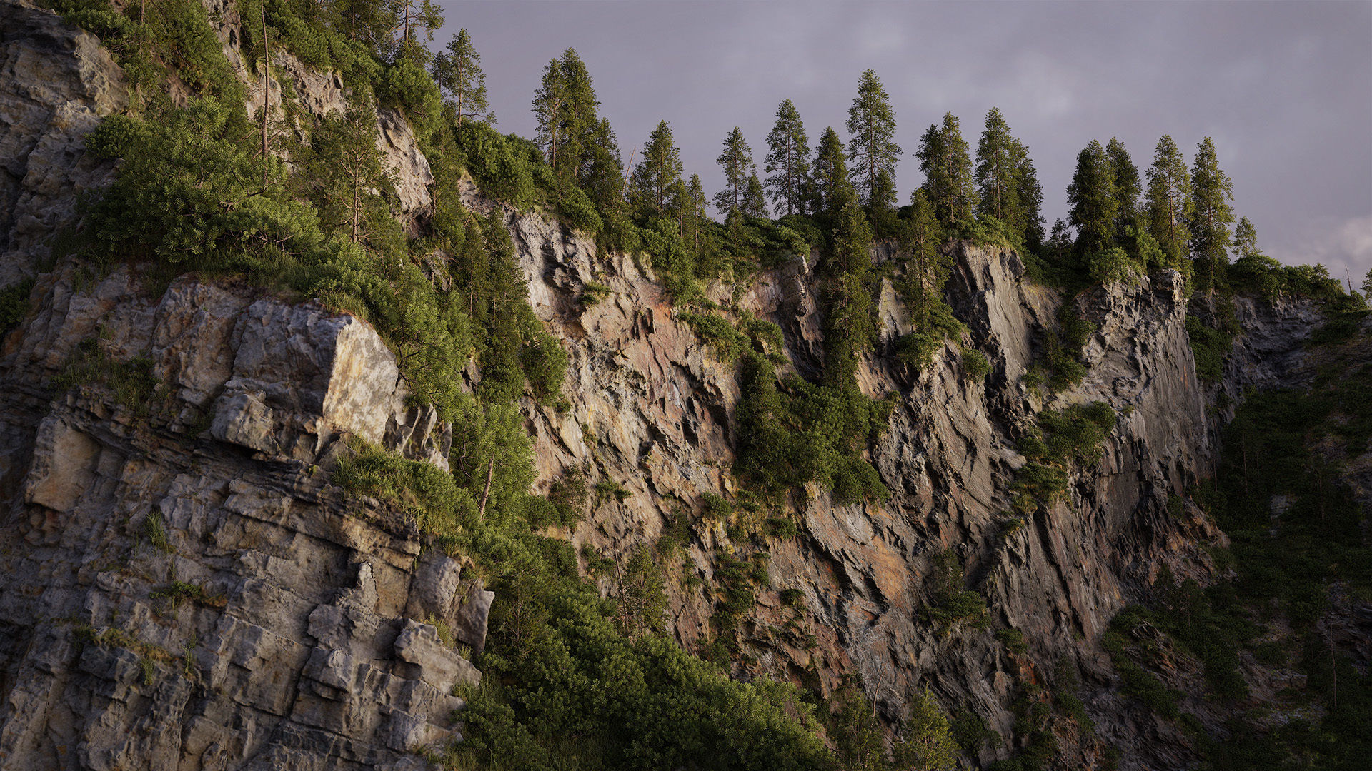 Forest Biome for Scatter 5 Blender Low-poly 3D model_6