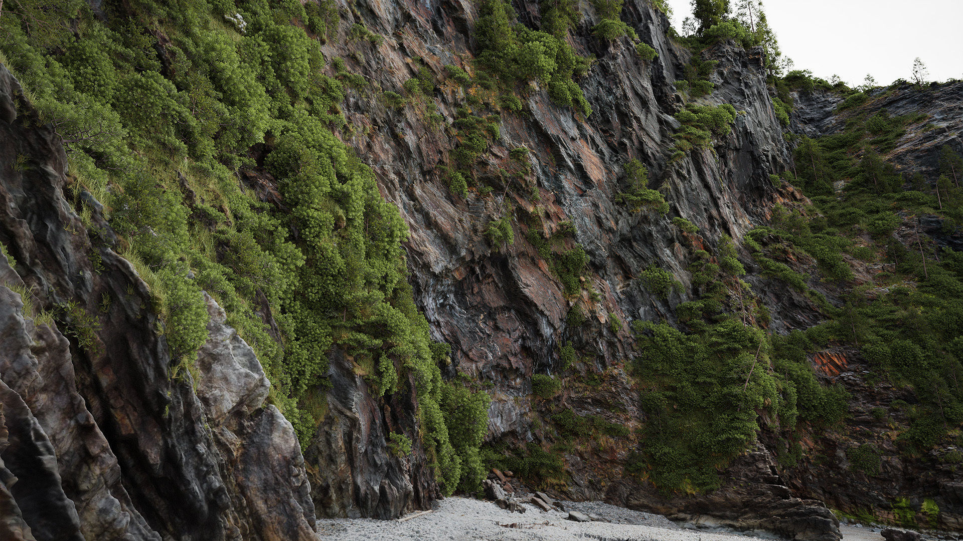 Forest Biome for Scatter 5 Blender Low-poly 3D model_7