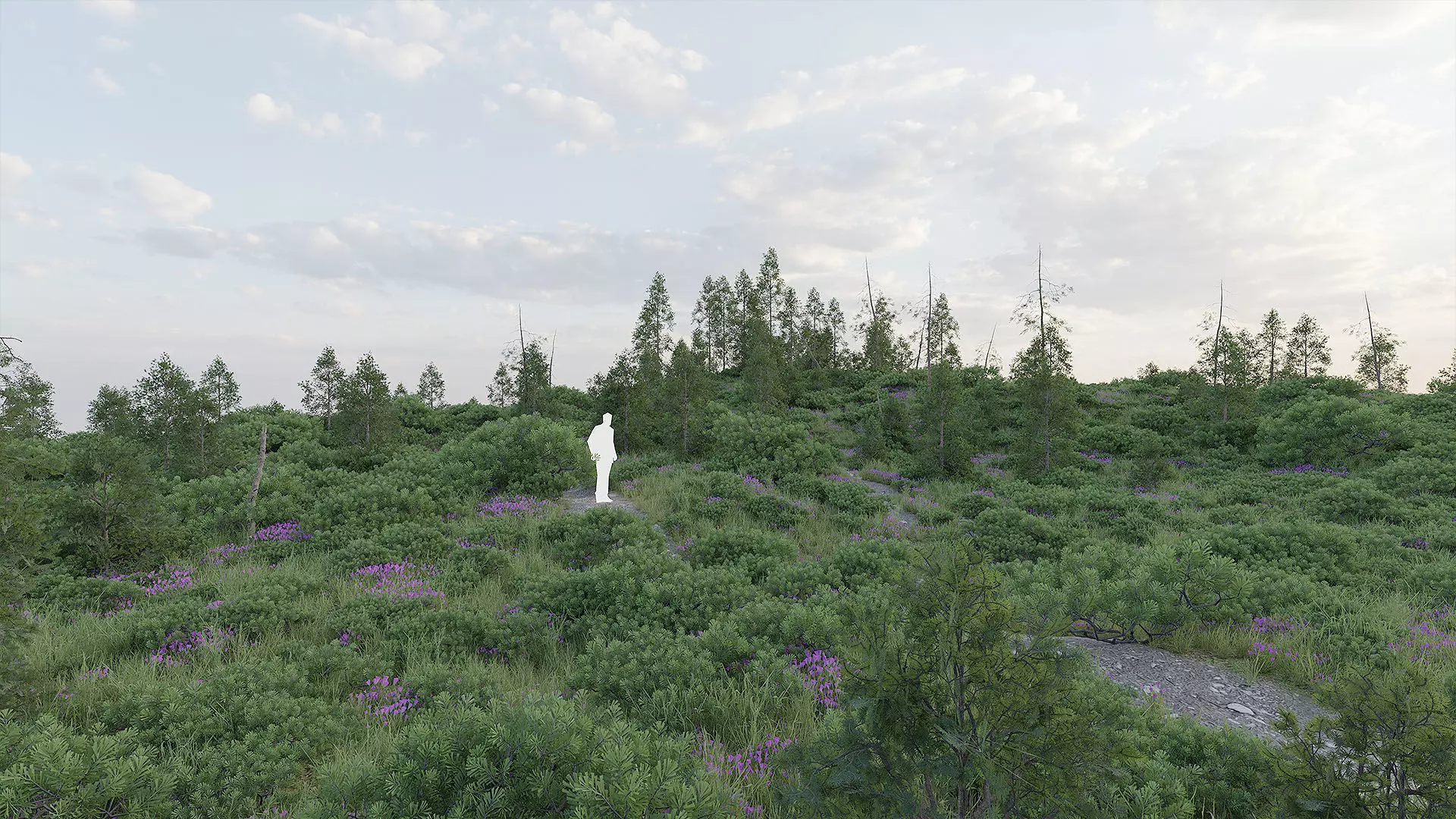 Forest Biome for Scatter 5 Blender Low-poly 3D model_0