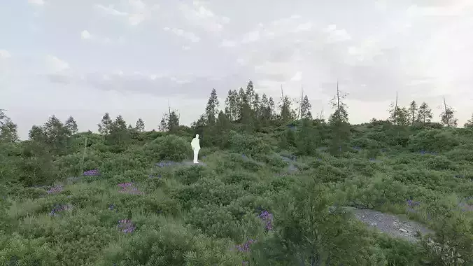 Forest Biome for Scatter 5 Blender Low-poly 3D model