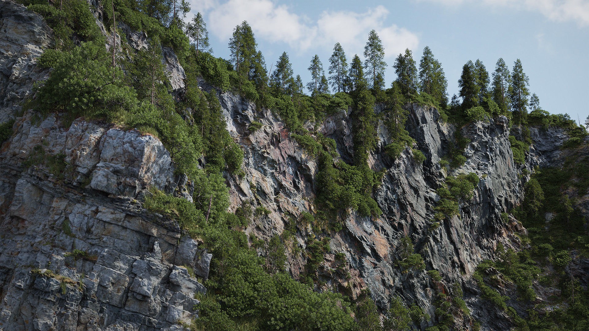 Forest Biome for Scatter 5 Blender Low-poly 3D model_3