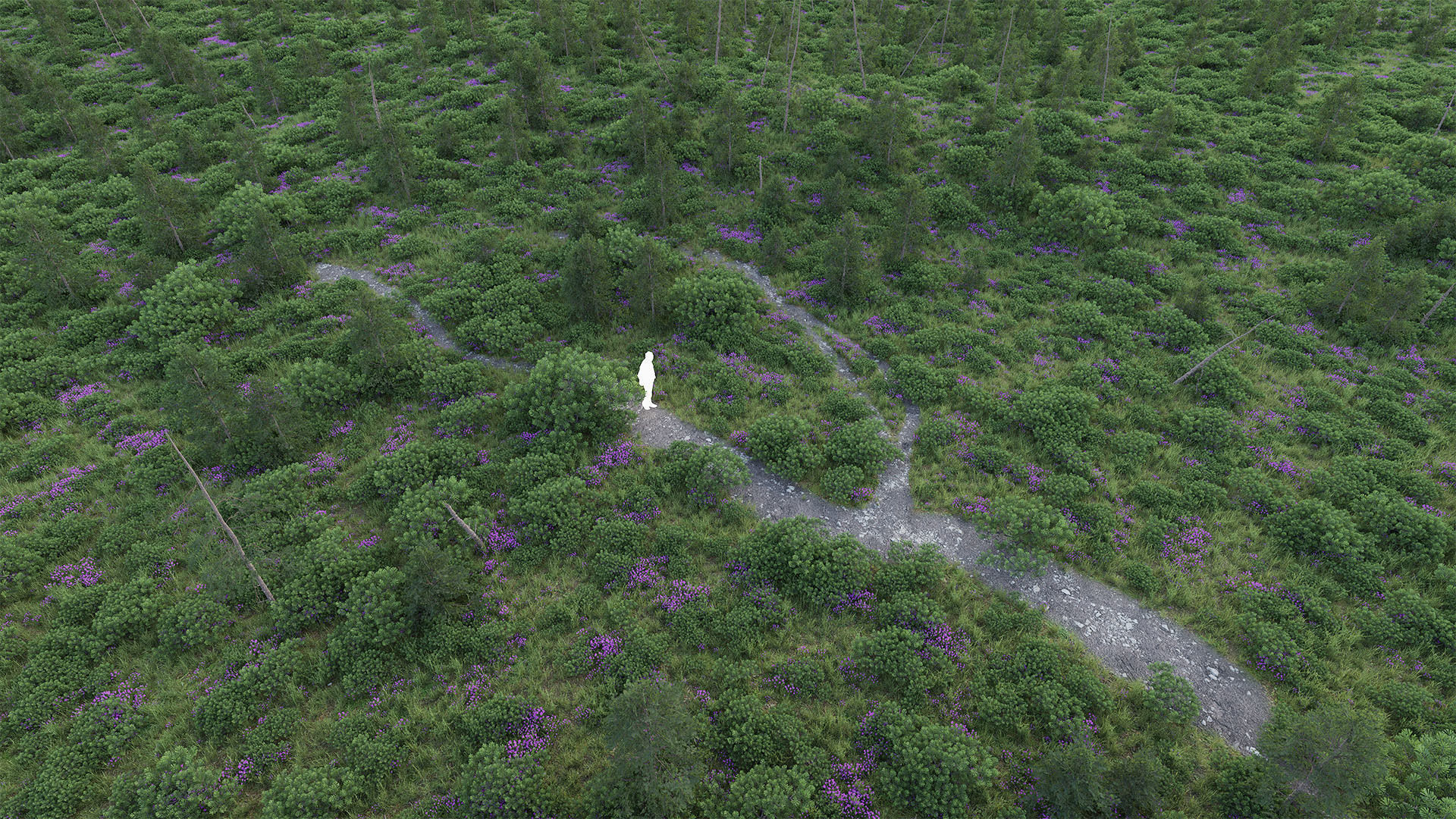 Forest Biome for Scatter 5 Blender Low-poly 3D model_9