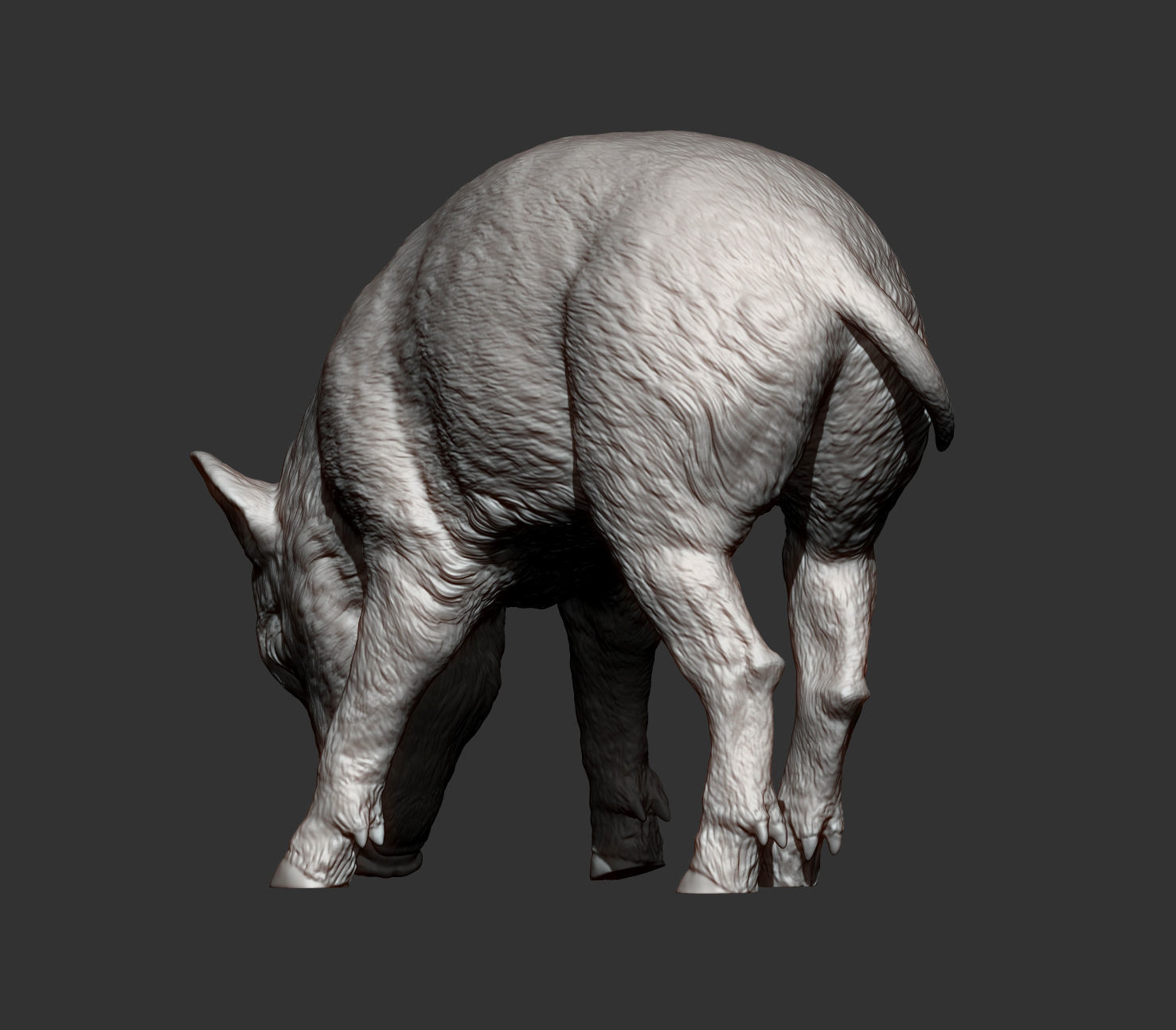 Small  wild boar 3D print model_12