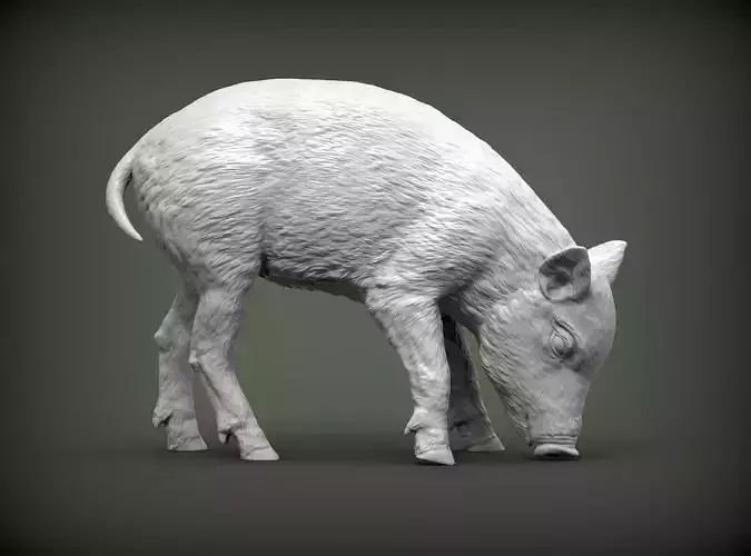 Small  wild boar 3D print model