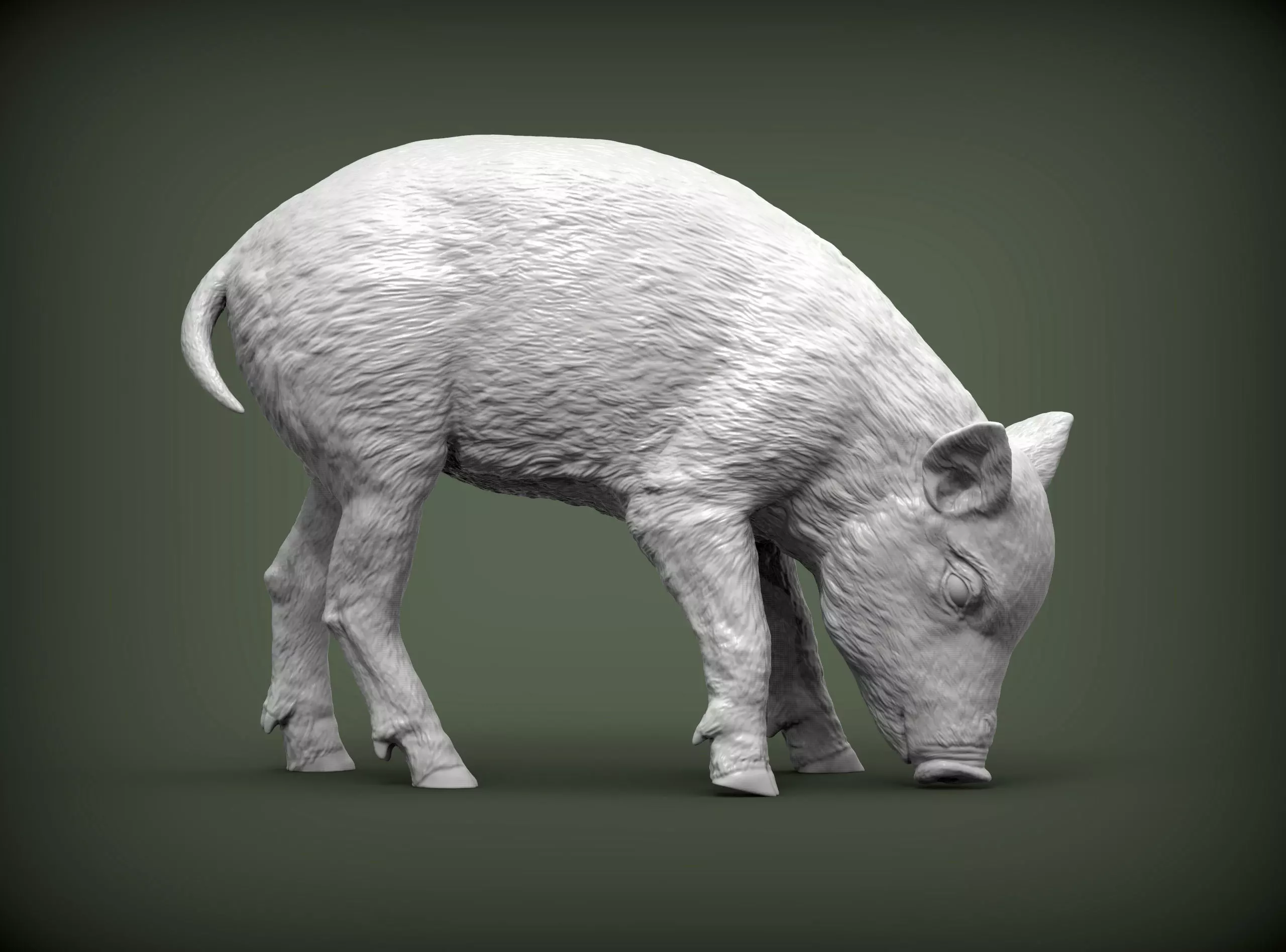 Small  wild boar 3D print model_0