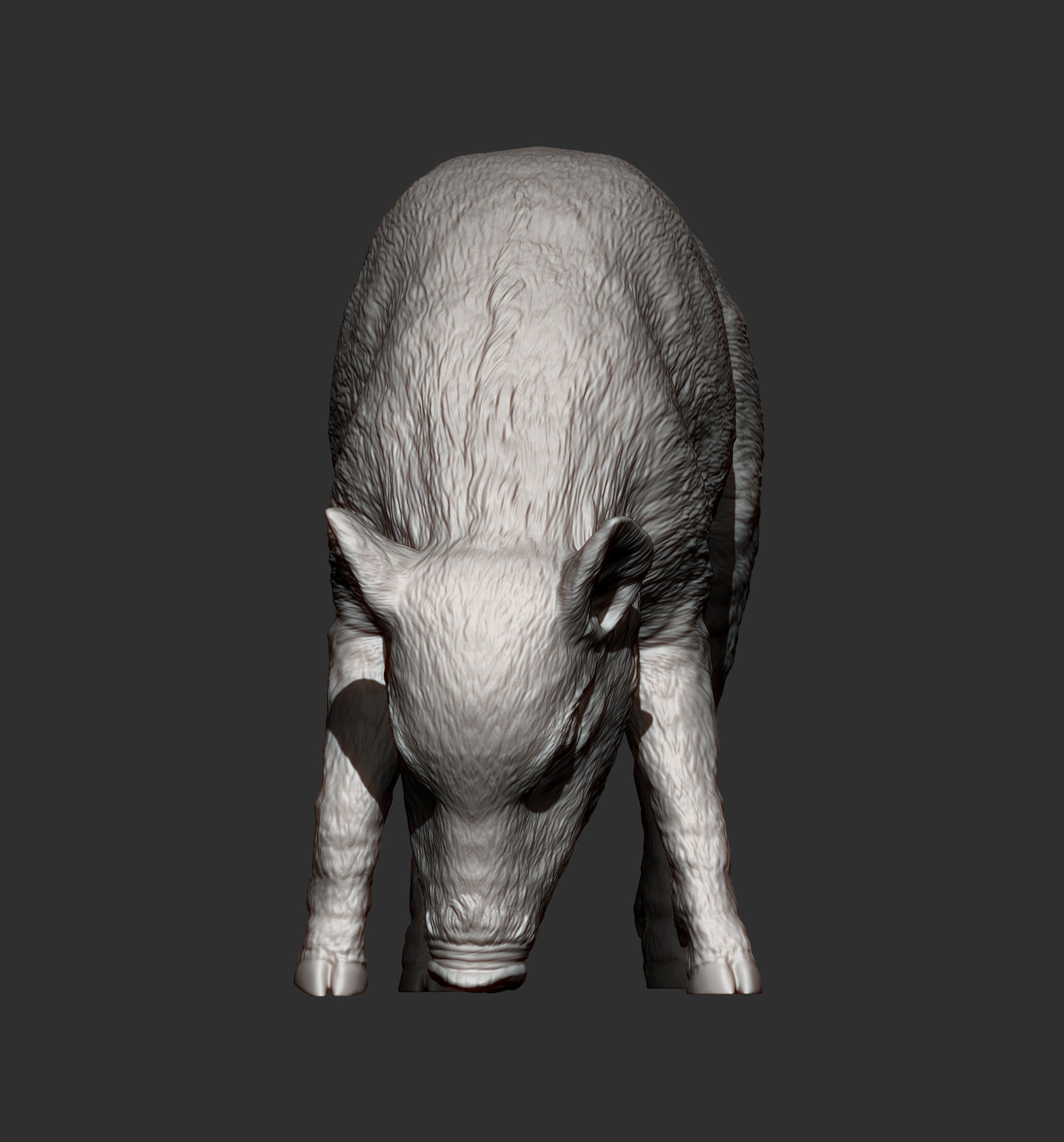 Small  wild boar 3D print model_7