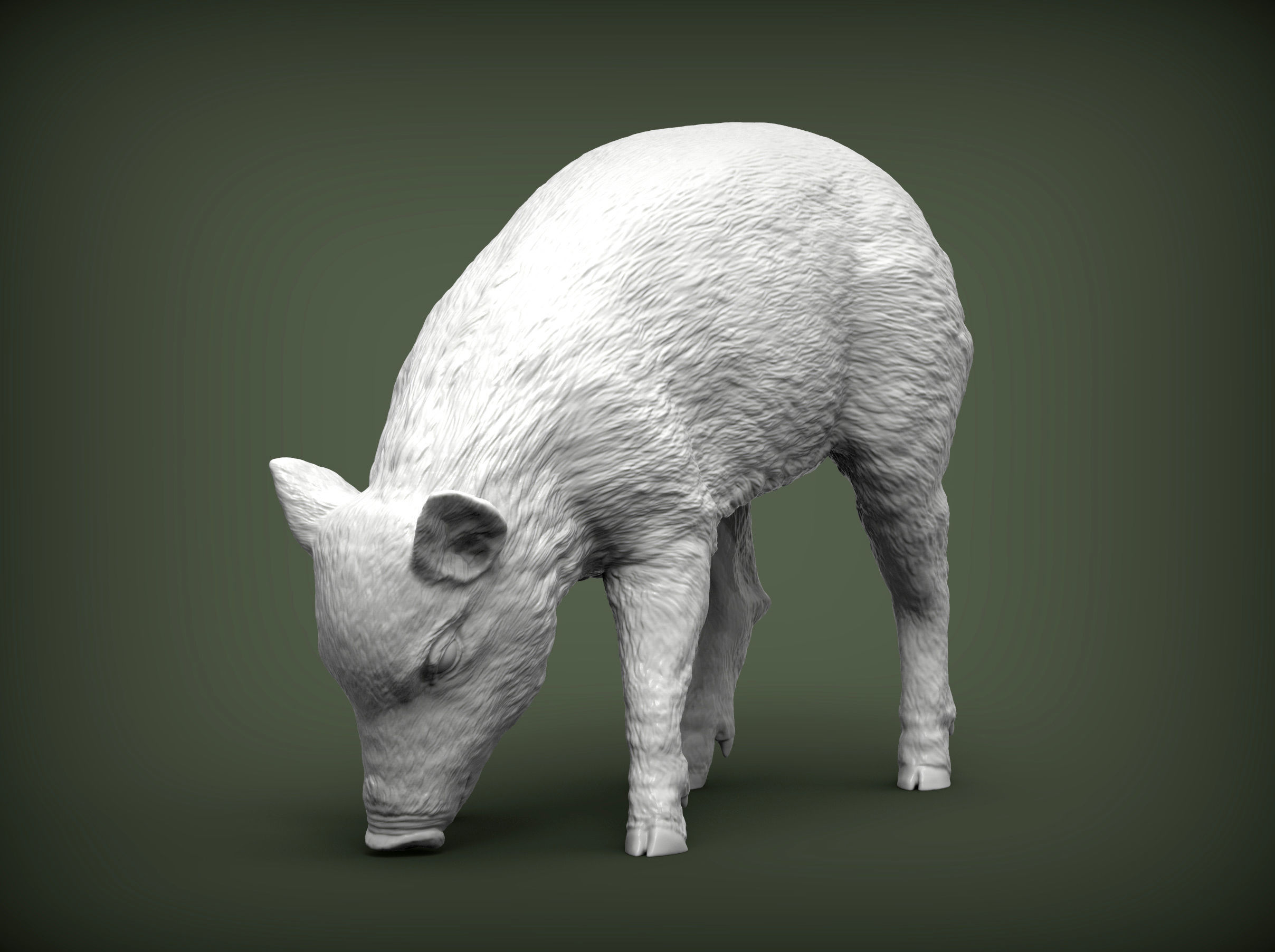 Small  wild boar 3D print model_3