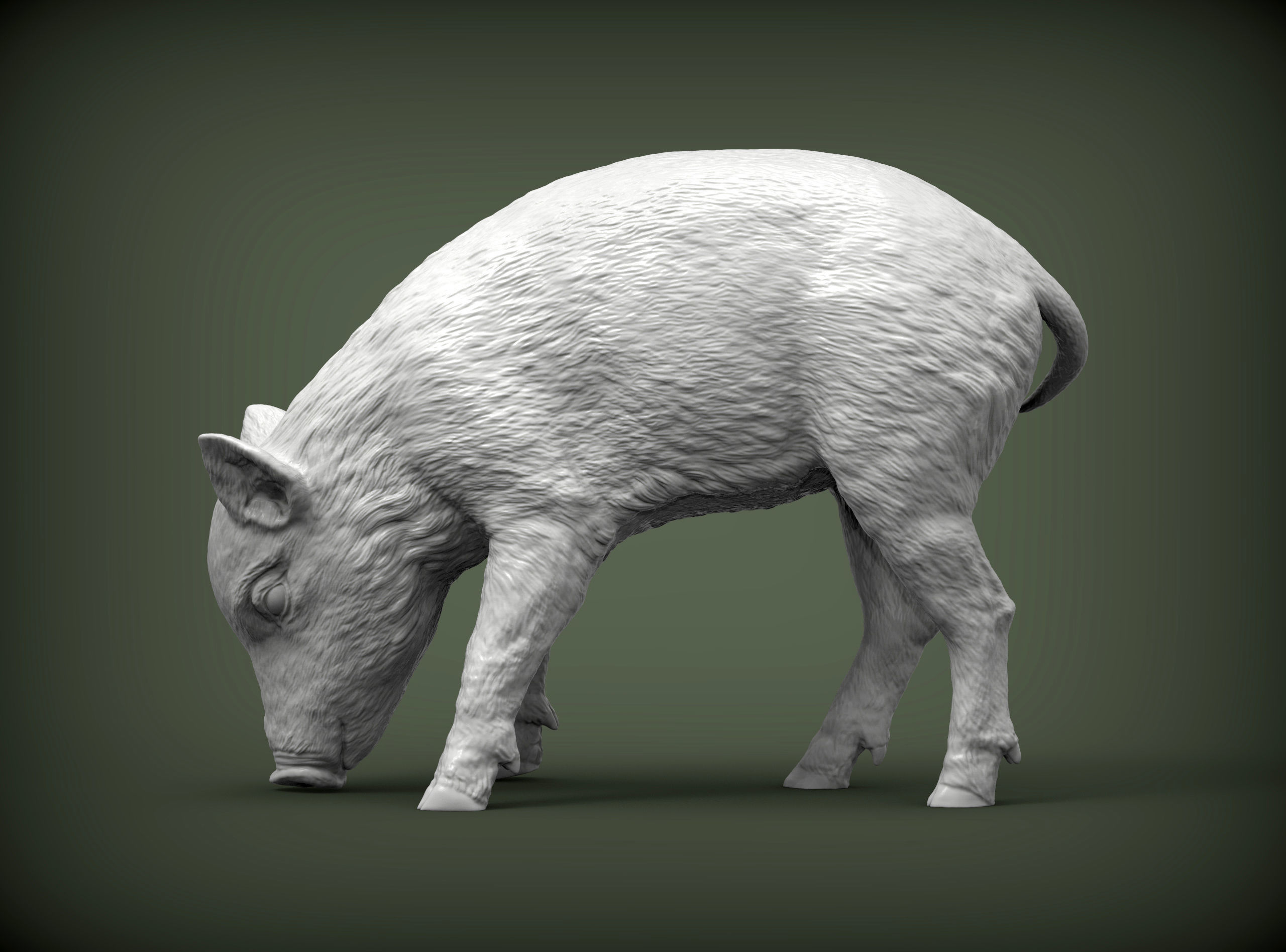 Small  wild boar 3D print model_2