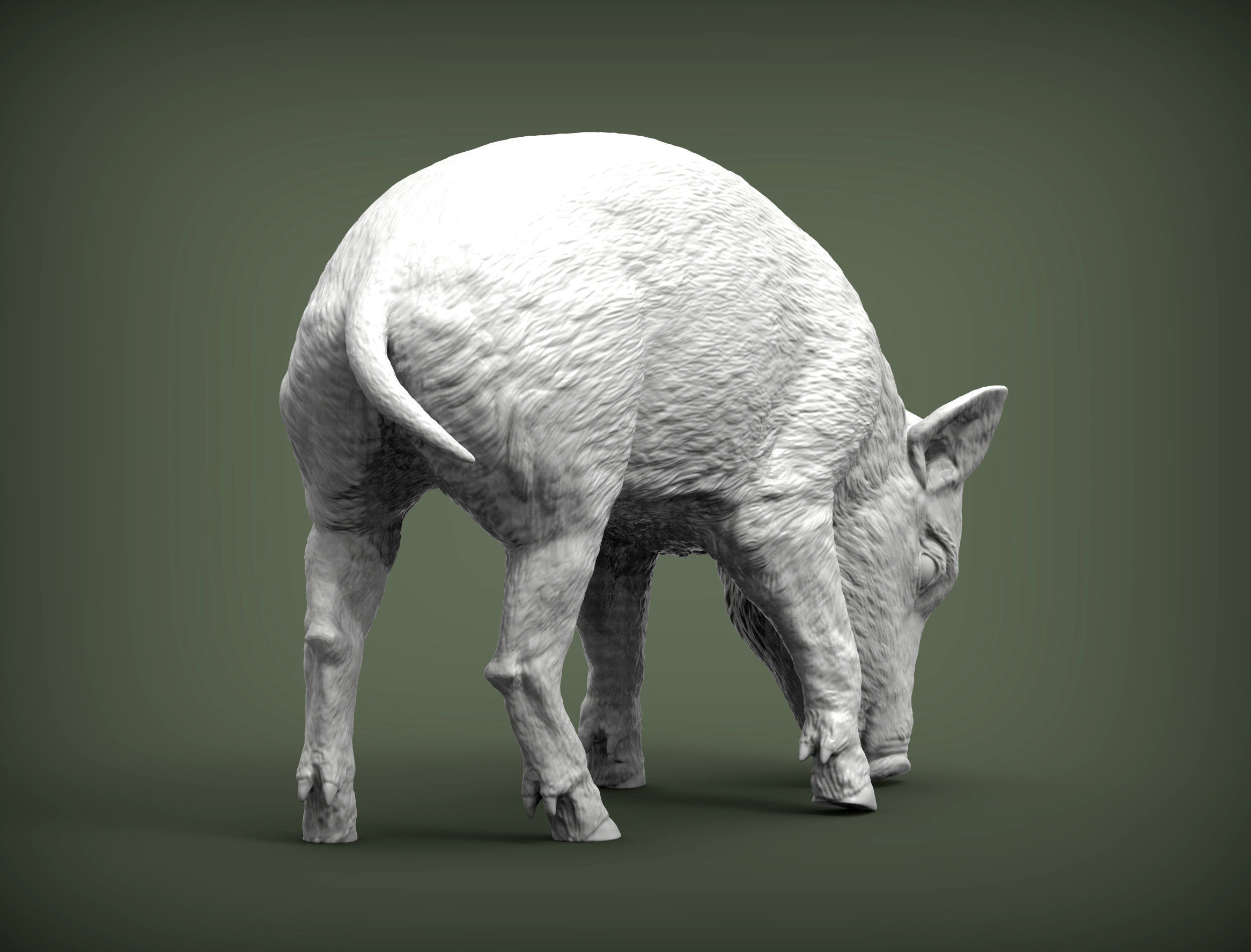 Small  wild boar 3D print model_6