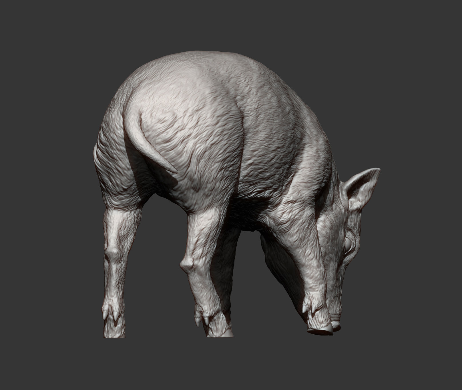 Small  wild boar 3D print model_11