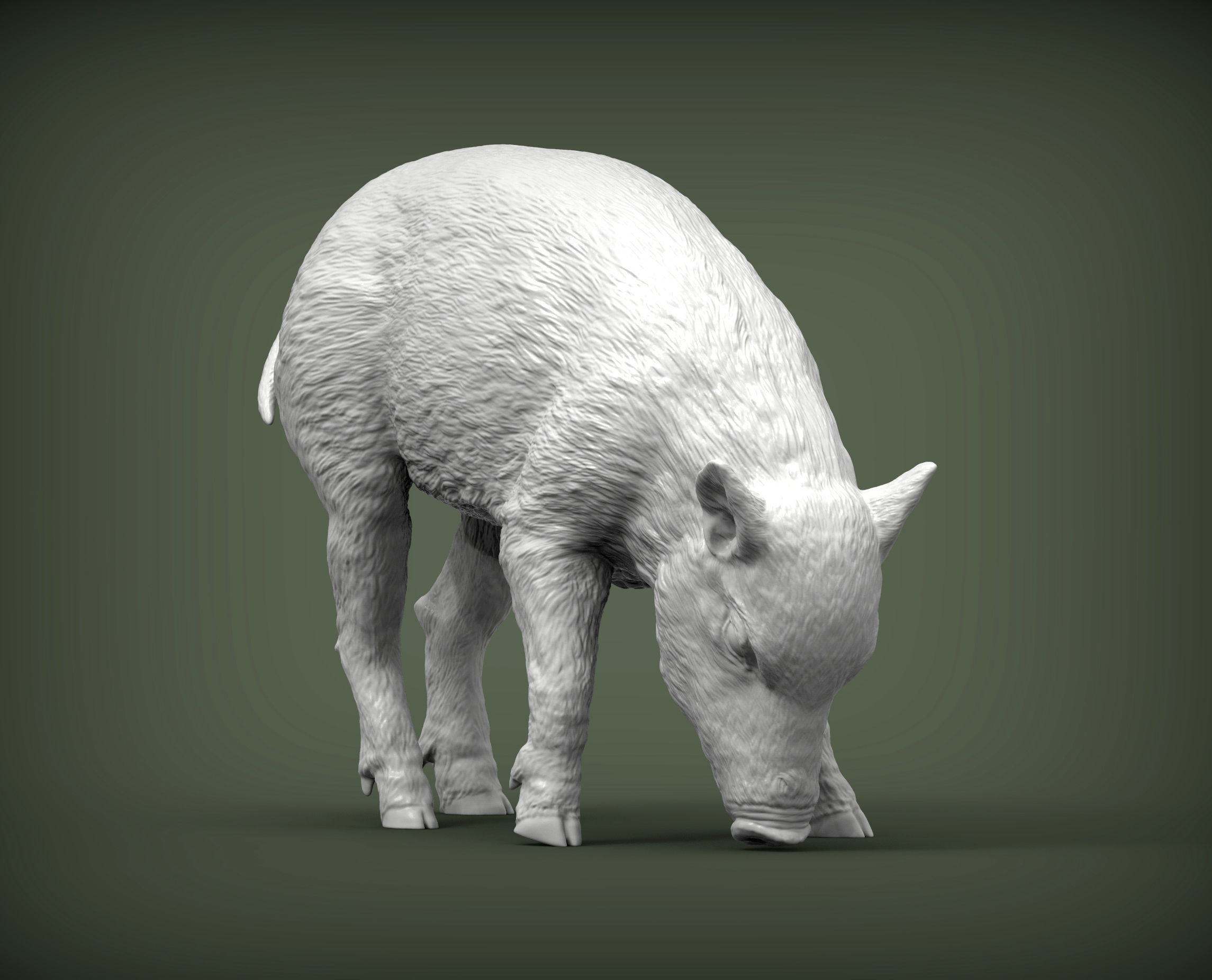 Small  wild boar 3D print model_4