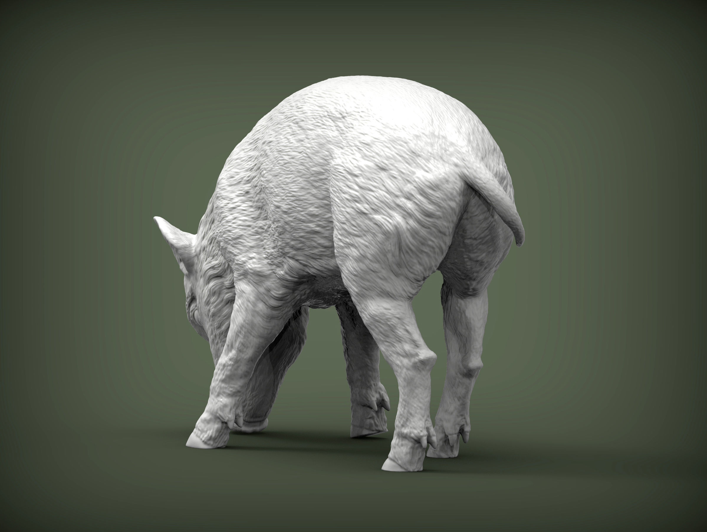 Small  wild boar 3D print model_5