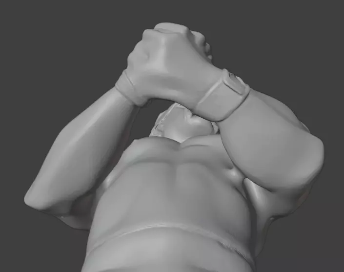 Hulk Hogan 3D print model_16