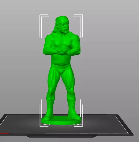 Hulk Hogan 3D print model_21