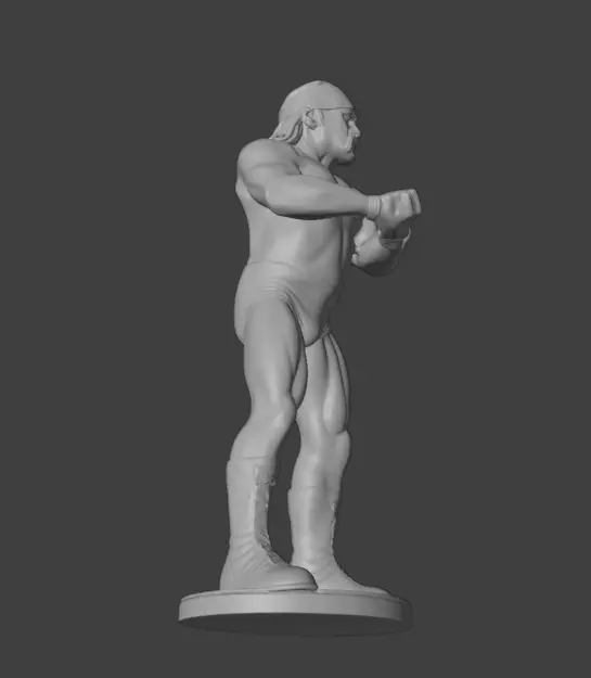Hulk Hogan 3D print model_24