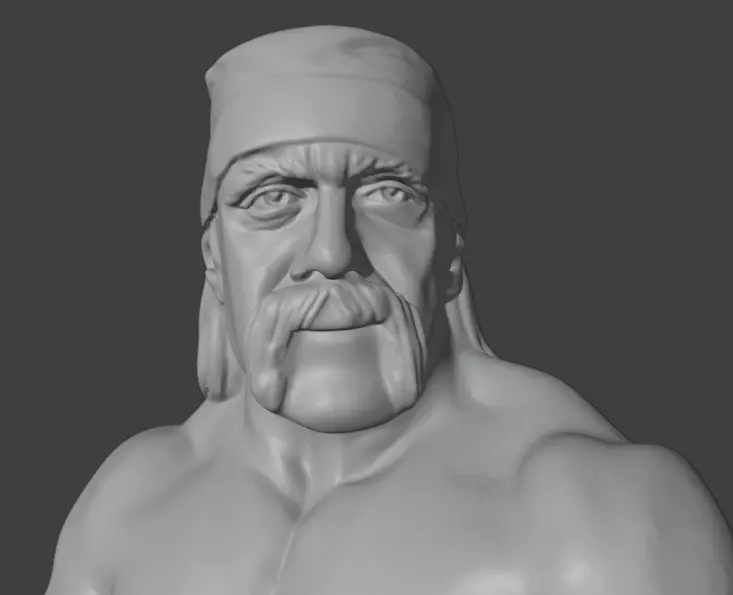 Hulk Hogan 3D print model_13