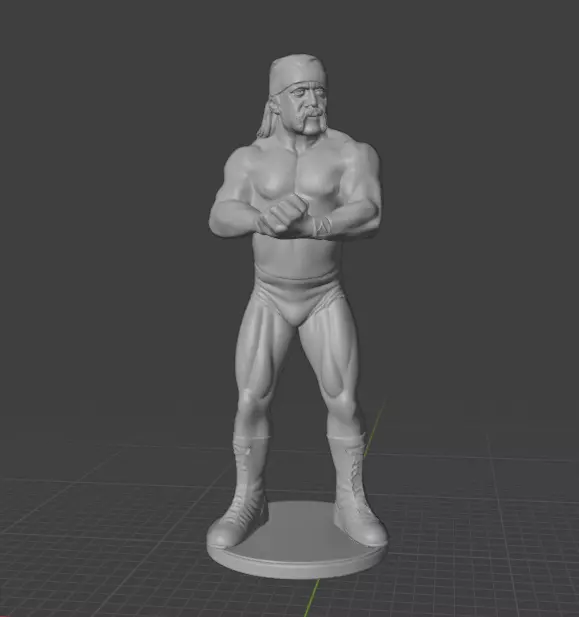 Hulk Hogan 3D print model_11