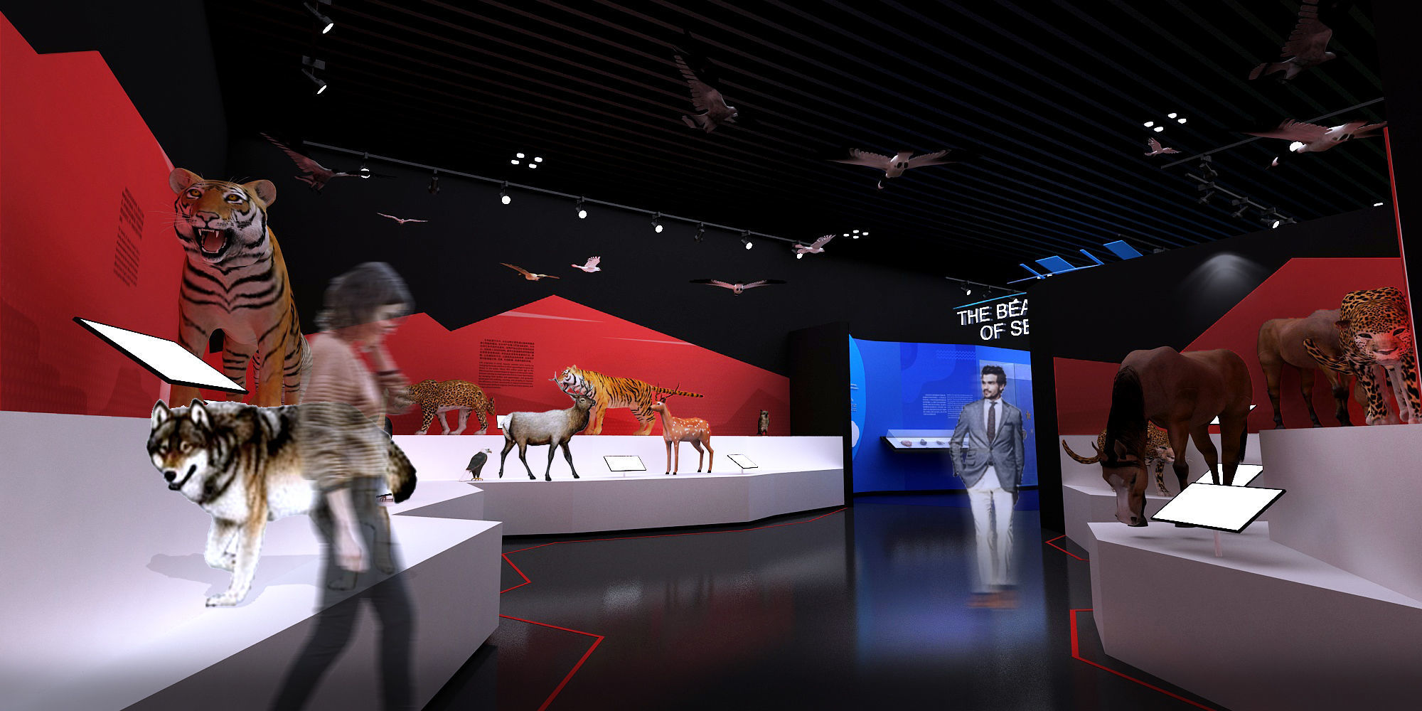 Natural History Museum 3D model_8