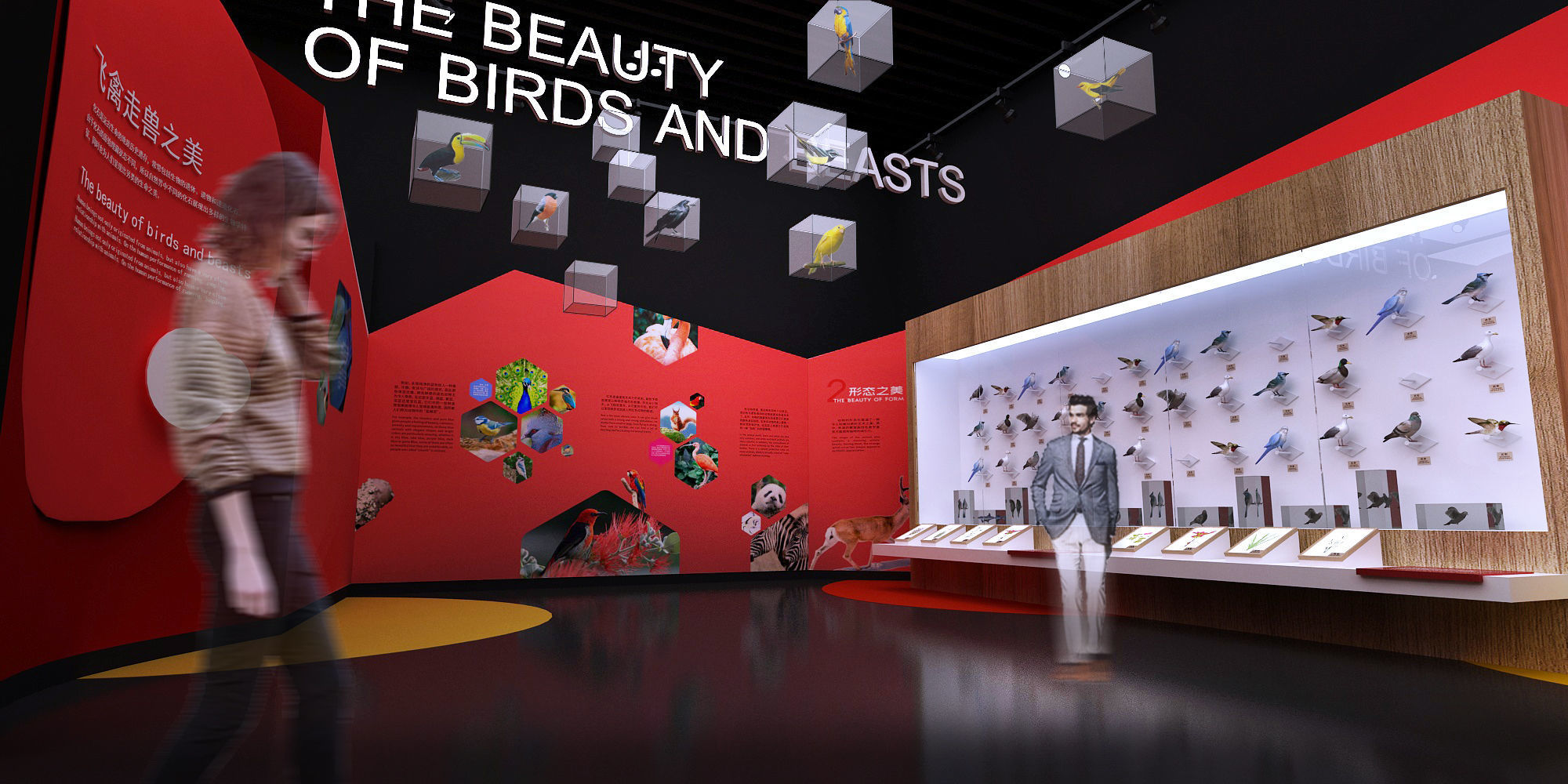 Natural History Museum 3D model_4