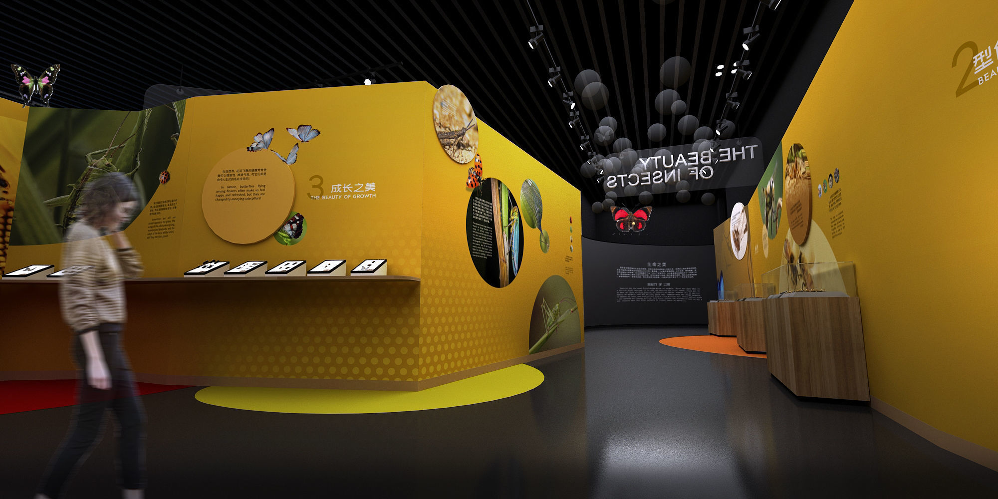 Natural History Museum 3D model_10