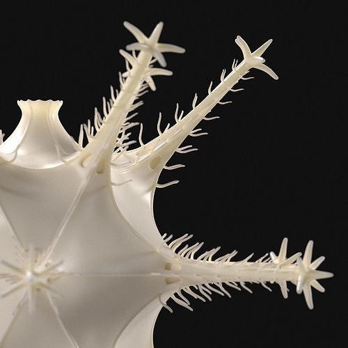 Radiolarian 3 starfish 3D model