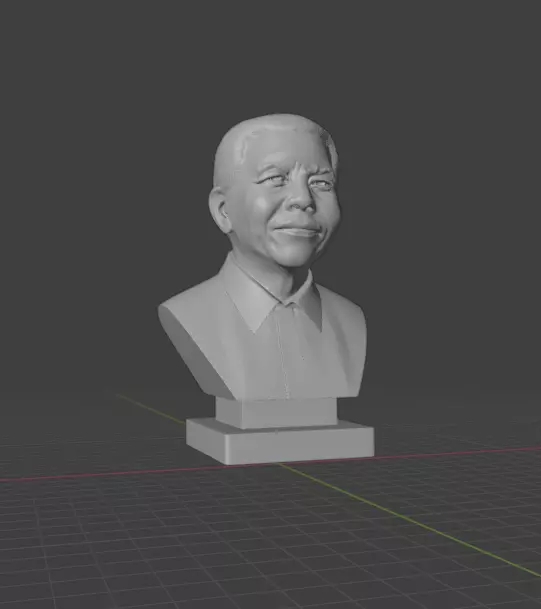 Nelson Mandela 3D print model_21
