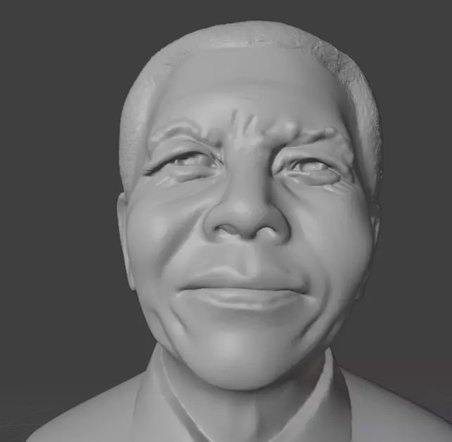 Nelson Mandela 3D print model_8