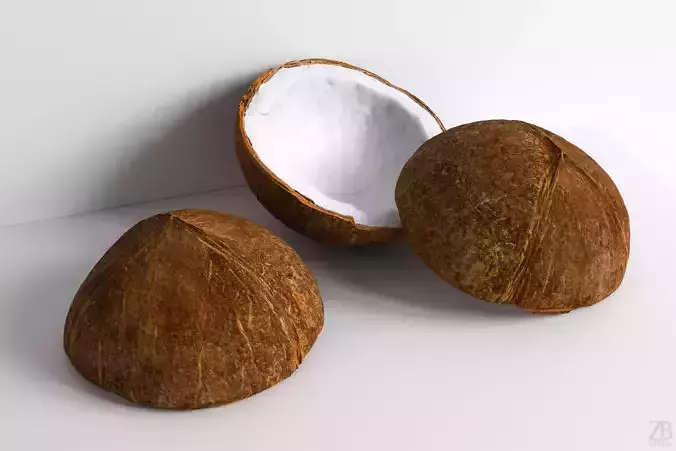 Coconut 3D model